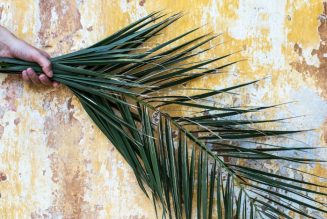 What is Palm Sunday and Why Do Christians Celebrate It?