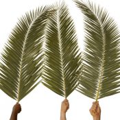 What Really Happened on Palm Sunday?