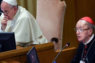 Cardinal Hummes: Pope’s Pan-Amazon apostolic exhortation to be published soon…