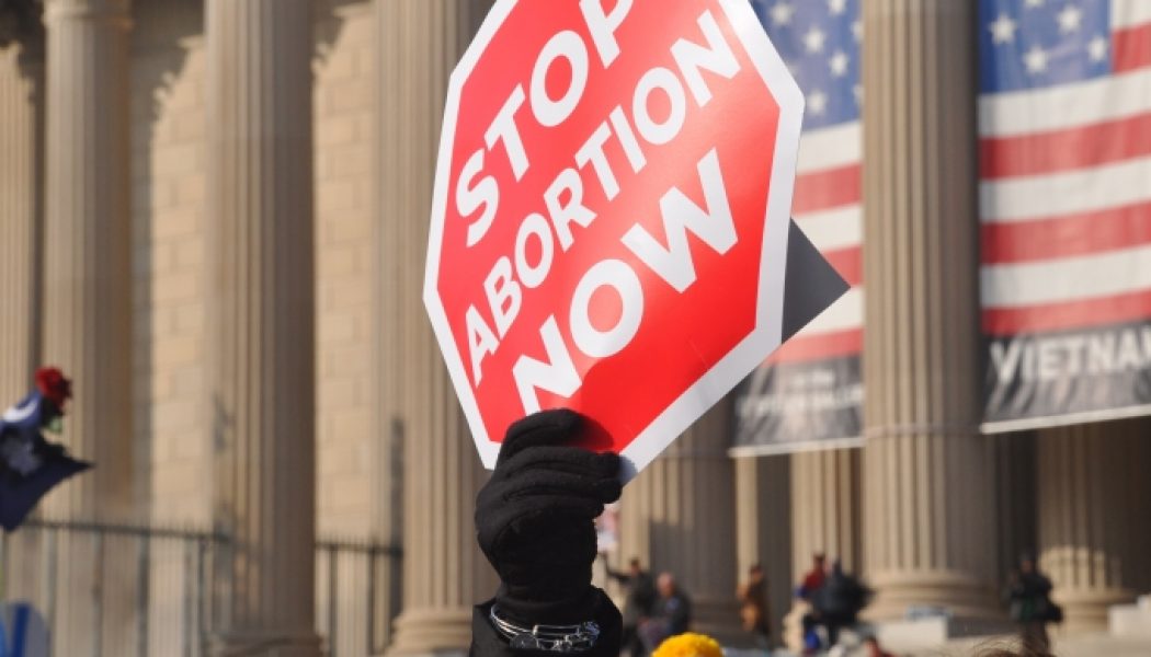 More than 200 members of Congress urge Supreme Court to reconsider Roe v. Wade…