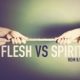 What is the “Flesh” in Romans 6:19?