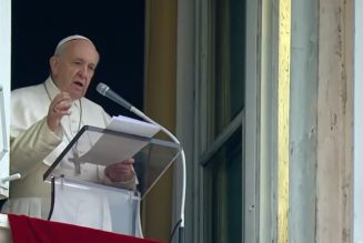 Angelus Address: On the Feast of the Presentation of the Lord…