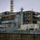 Chernobyl shocker as fungi that eats radiation found inside nuclear reactor…