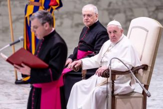 Pope’s Wednesday Audience: ‘Blessed are the meek’ is not ‘Blessed are the weak’…