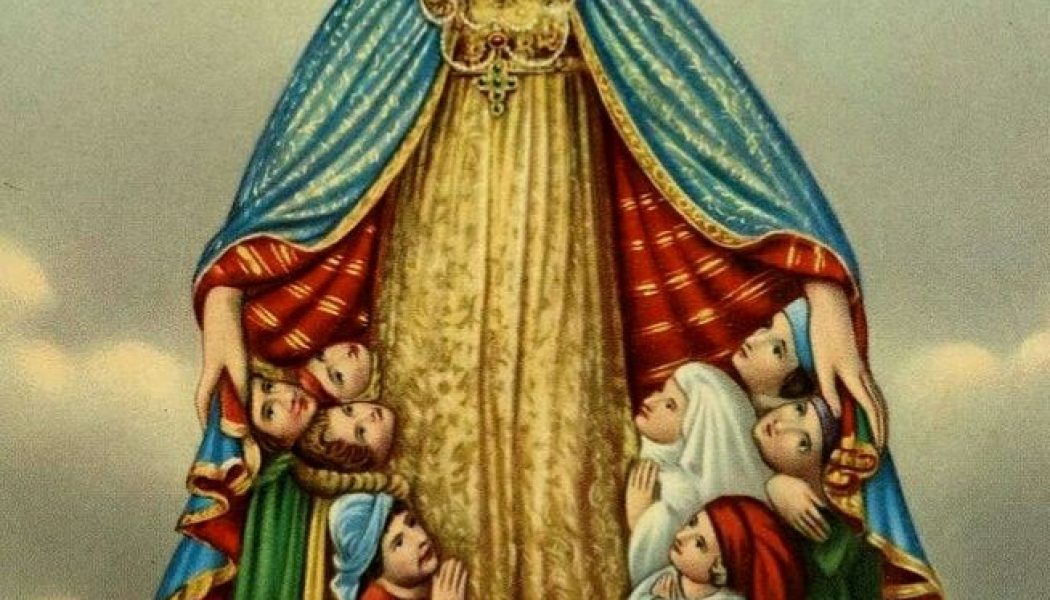The Surrender Novena, Our Lady of Monte Berico, Saint Joseph, and praying the Rosary…