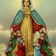 The Surrender Novena, Our Lady of Monte Berico, Saint Joseph, and praying the Rosary…