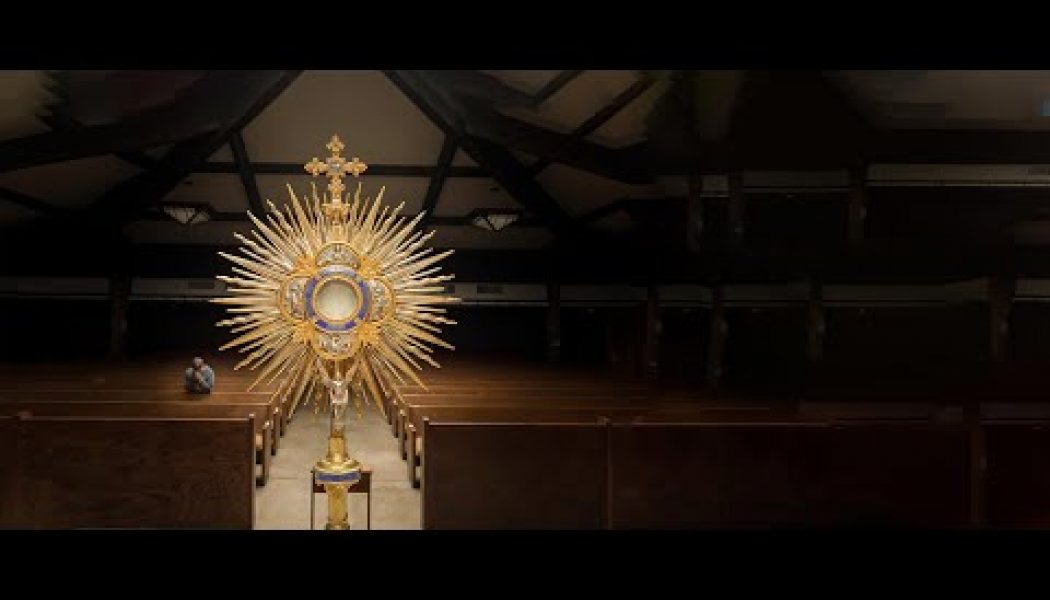‘The Veil Removed’ — A 7-minute short film that will change the way you see the Holy Mass…