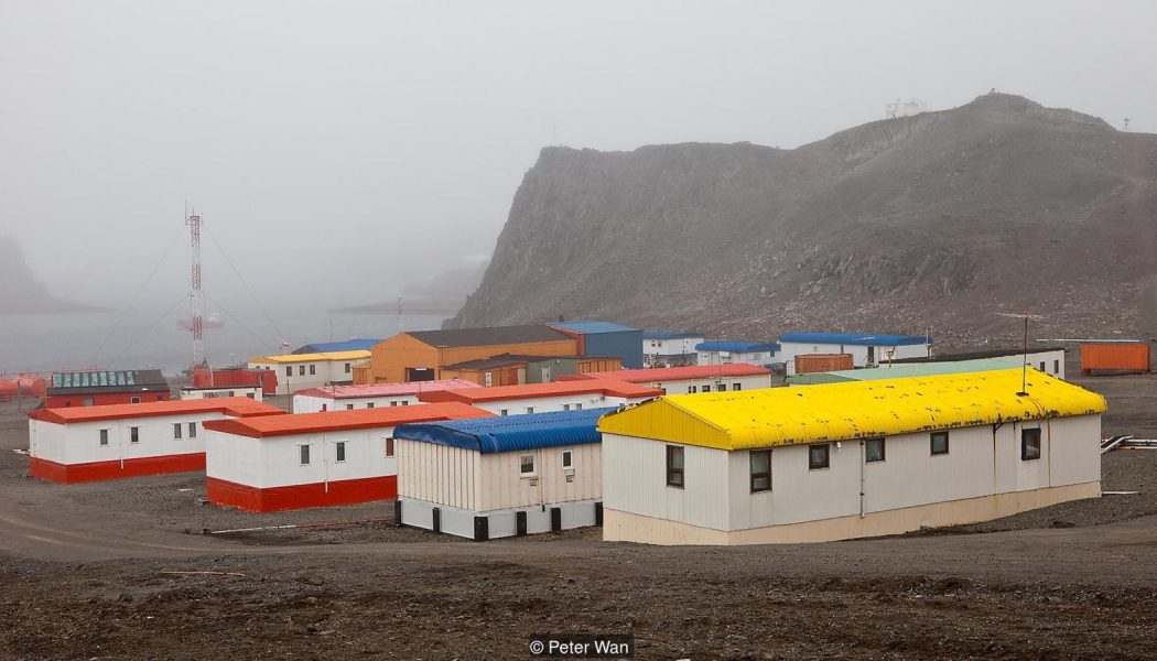 The icy Antarctic village where you must have your appendix removed before moving in…