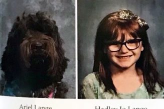 What is a labradoodle doing in this Catholic school yearbook?