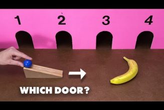 Can you guess which door the ball will hit in these machine puzzles?