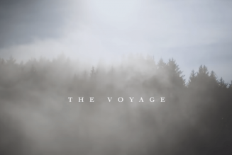 Amanda Cook – The Voyage