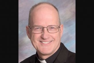 Pope accepts resignation of Duluth Bishop-elect Michel Mulloy after abuse allegation…