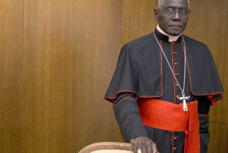 With the Pope’s okay, Cardinal Sarah sends letter to bishops worldwide, says return to public Mass as soon as possible is “necessary and urgent”…