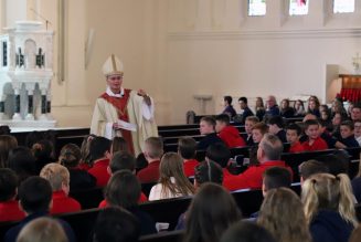 Bishop Daly challenges Bishop McElroy’s statements on abortion and the 2020 election…