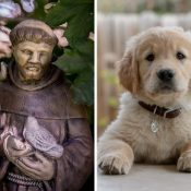 How pets can aid us in becoming more Christlike…