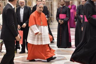 Pope Francis meets with Australian nuncio, amid €700,000 bank transfer allegation…