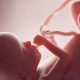 How aborted children are used in medical research in 2020…