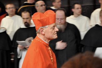 Archdiocese of Washington defends Cardinal Wuerl’s $2,000,000 fund for ‘continuing ministry activities’ during COVID-19 shutdown…