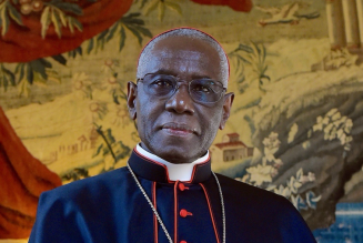 Cardinal Sarah offers first comments since resignation: ‘The only thing that counts is to seek God ever more deeply’…