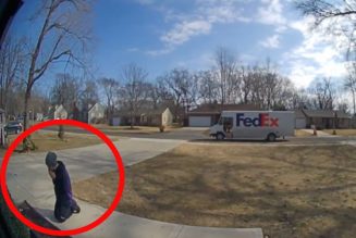 Ring doorbell camera captures FedEx driver making a delivery — then stopping to pray before a statue of Our Lady…