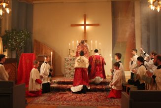 Sweden is a hostile culture for the Church — but the Church is still growing, and returning to Catholic tradition…