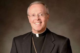 ‘This is a warning’ — After Vos Estis probe and a push from Pope Francis, Bishop Hoeppner quits Diocese of Crookston, Minnesota…