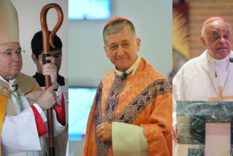 Cardinals Gregory, Cupich, O’Malley and 60+ bishops press Archbishop Gomez to halt USCCB Communion debate…