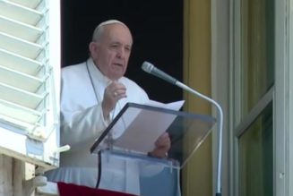 Pope’s Sunday Angelus: God is at work as “a good seed,” and the Church should never give in to the “weed of doubt”…