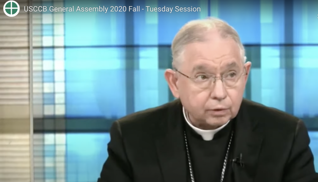 What else to expect at the USCCB’s upcoming online meeting…