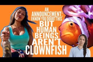 Human beings aren’t clownfish…