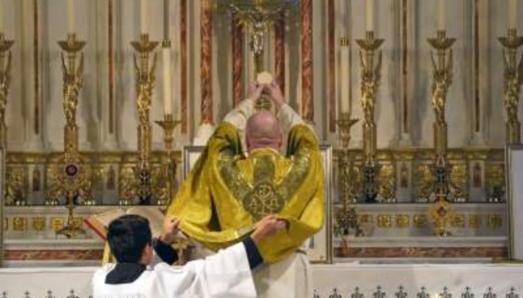 There is less confusion about Church teachings among those who take part in the Latin Mass than in any other corner of Catholicism…..