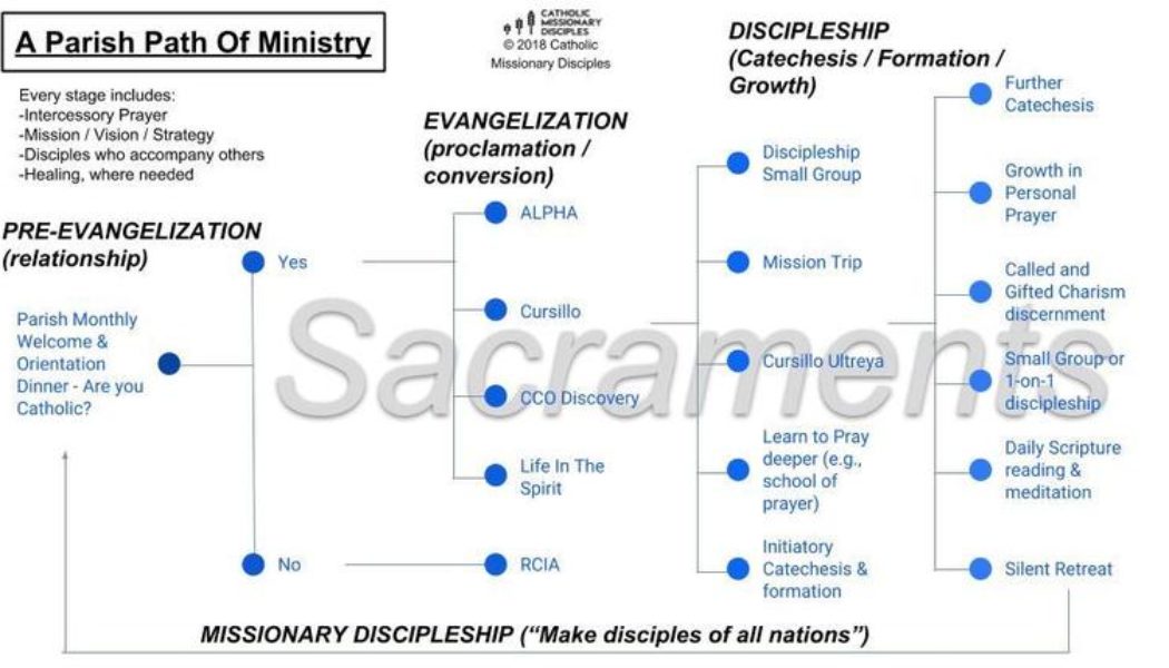 Turning casual parishioners into wholehearted followers of Christ requires a plan. Very few parishes have one…..