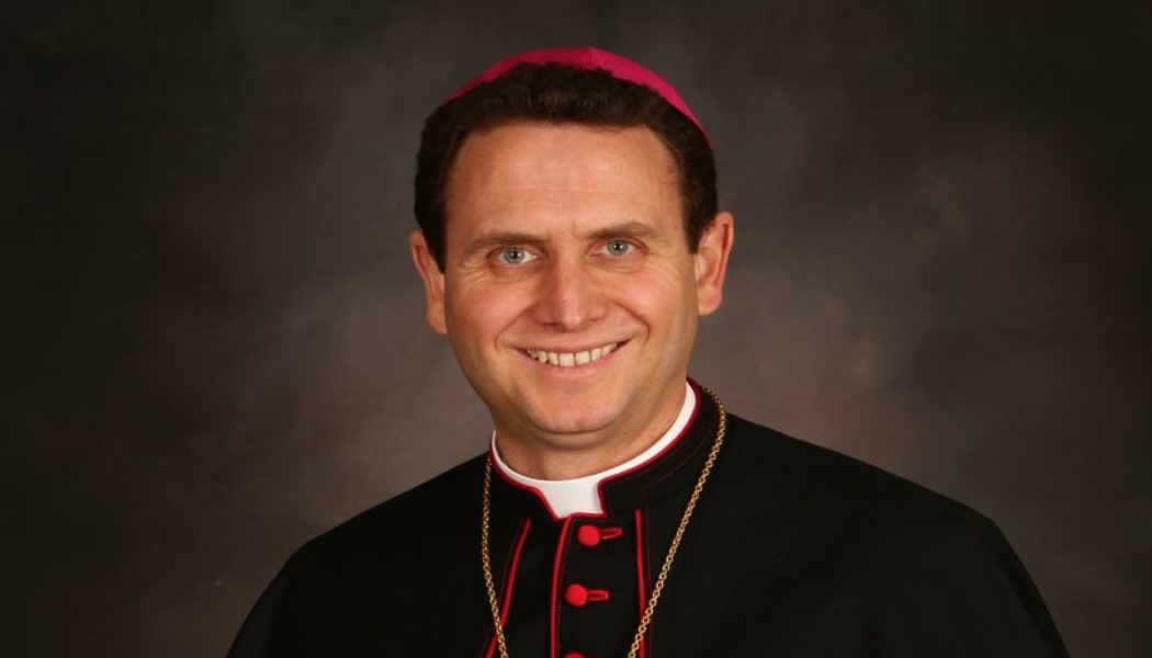 Pope Names Andrew Cozzens, US Bishops’ Evangelization Chairman, New Bishop of Crookston, Minnesota…