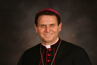 Pope Names Andrew Cozzens, US Bishops’ Evangelization Chairman, New Bishop of Crookston, Minnesota…