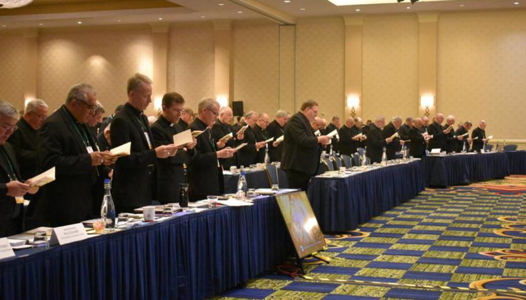 5 items to watch at the U.S. Bishops’ fall meeting…