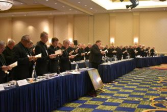 5 items to watch at the U.S. Bishops’ fall meeting…