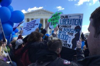 7 things to know about the Dobbs abortion case coming before the Supreme Court…