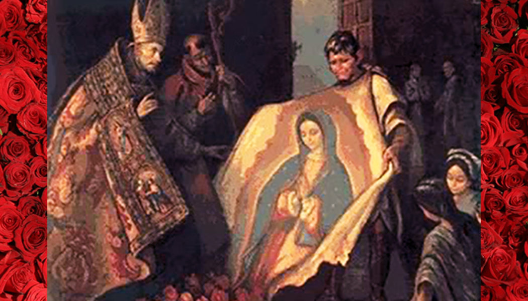 Everyone knows about Our Lady of Guadalupe — not everyone knows the important role of miraculous roses in her appearance…