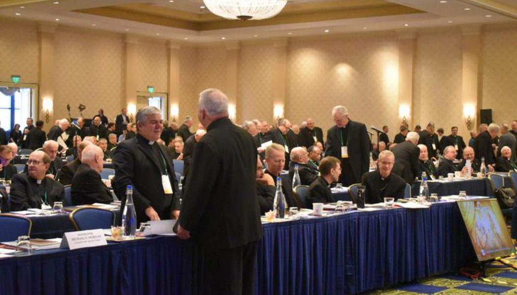 Catholic Twitter Reacts Hotly as U.S. Bishops Set ‘Woke’ Tone for Synod in Viral Tweet…