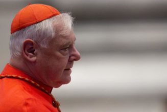 Cardinal Müller says orthodox Catholics are being persecuted by ‘secularized people’ within the Church…