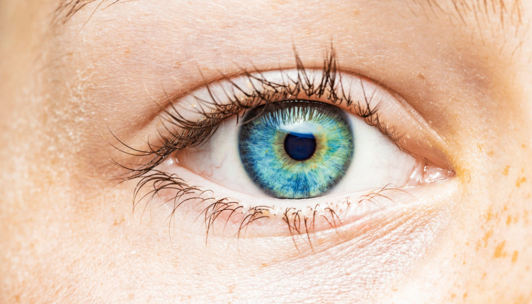 Your eye color, explained: Scientists are still learning new things about one of our most striking features…