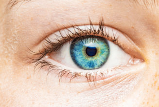 Your eye color, explained: Scientists are still learning new things about one of our most striking features…