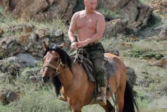 War and peace, Putin’s face, and a question of manners…