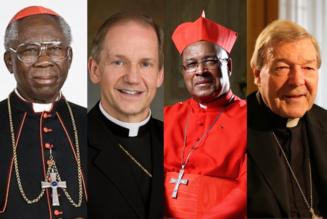 Cardinals Pell, Arinze, Napier and 71 Other Bishops Send ‘Letter of Concern’ to Errant German Bishops Over ‘Synodal Path’…