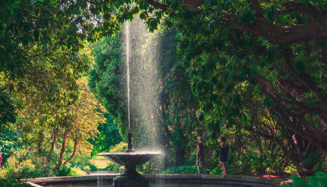 The most beautiful public gardens around the world, according to tourist reviews…