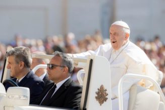 A roundtable on the Pope’s recent comments on the Church in the U.S…