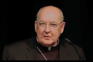 Cardinal Farrell appoints Communion and Liberation president, alleges ‘broad dissent’ within movement…