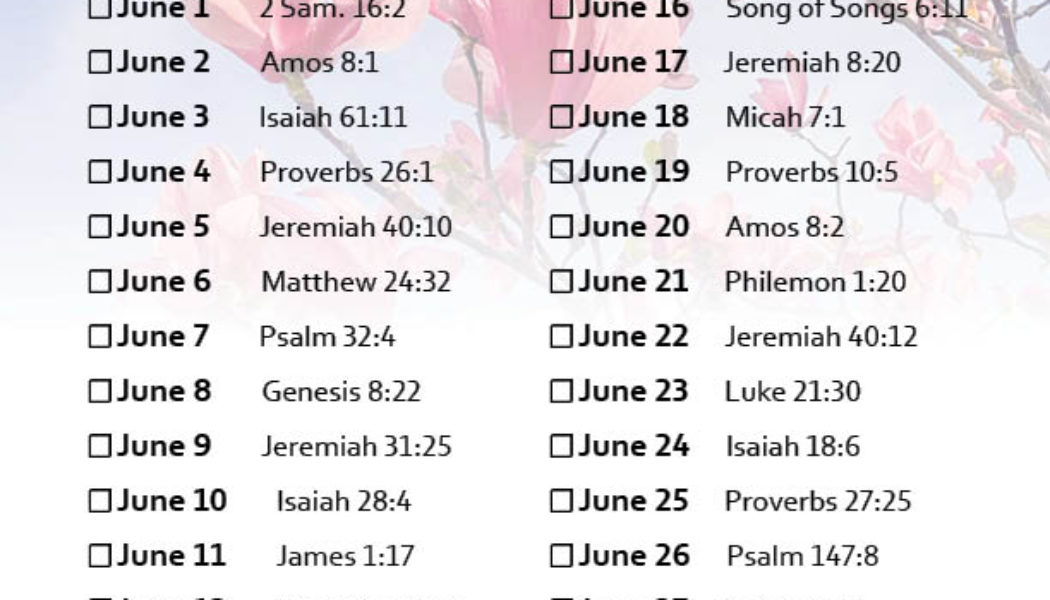 June Scripture Writing Challenge (2022)
