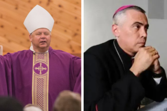 Vatican inconsistencies: A Tale of Two Bishops…
