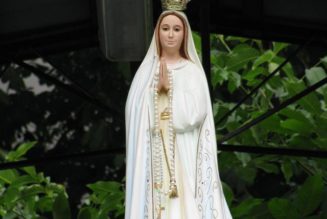 ‘Wear the brown scapular, pray the Rosary’ — Why Our Lady of Mount Carmel appeared at Fatima…